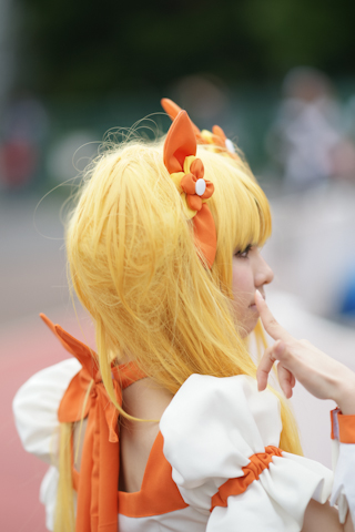 灵菊胶囊 提高免疫力|b体育(图2) bsport体育